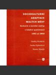 Sociokulturní adaptace malých měst - Kulturní a sociální změny v lokální společnosti 1992 až 2008 - náhled