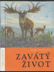 Zavátý život - náhled