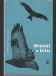 Dravci v letu - náhled