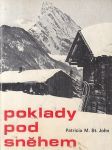 Poklady pod sněhem - náhled