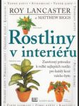 Rostliny v interiéru - náhled