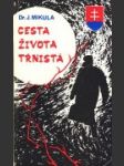 Cesta života tŕnistá - náhled