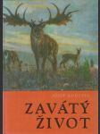 Zavátý život - náhled