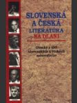 Slovenská a česká literatúra na dlani - náhled