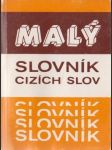 Malý slovník cizích slov - náhled