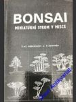 Bonsai miniaturní strom v misce - náhled