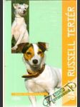 Jack Russell Teriér - náhled