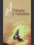 Chlapec a holubica - náhled