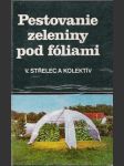 Pestovanie zeleniny pod fóliami - náhled