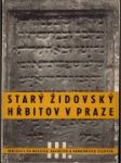 Starý židovský hřbitov v Praze - náhled