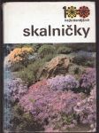 100 nejkrásnějších - skalničky - náhled