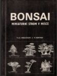 Bonsai - náhled