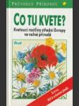 Co tu kvete? - náhled