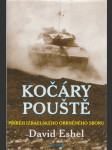 Kočáry pouště: Příběh izraelského obrněného sboru - náhled