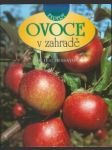 Ovoce v zahradě - náhled