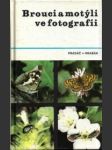 Brouci a motýli ve fotografii - náhled