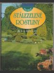 Stálezelené rostliny - náhled