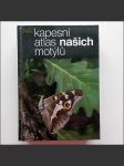 Kapesní atlas našich motýlů  - náhled