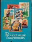 Russkij jazyk v kartinkach - náhled