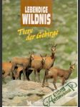 Tiere der Gebirge - lebendige wildnis - náhled