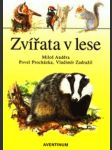 Zviřata v lese - náhled