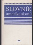 Slovník amerikanismů (malý formát) - náhled