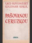 Pašovanou ceruzkou - náhled