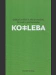 Kotleba: Odkiaľ prišiel a ako je možné, že sedí v parlamente - náhled