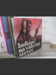 Indiáni na válečné stezce - náhled