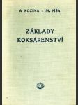 Základy koksárenství - náhled