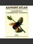 Kapesní atlas chráněných a ohrožených živočichů (edice: Obrazové atlasy) [příroda, zvířata, hmyz) - náhled