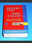 Anglicko-český česko-anglický slovník pro školu a veřejnost - náhled