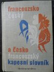 Kapesní slovník francouzsko-český a česko-francouzský - náhled