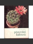 Pěstování kaktusů (kaktusy) - náhled