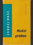 Medzi prúdmi I.  - náhled