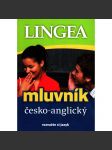 Mluvník česko - anglický (slovník) - náhled