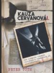 Kauza Cervanová I. - náhled