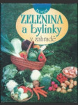 Zelenina a bylinky v zahradě - náhled