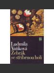 Žebrák se stříbrnou holí (edice: Erb) [historický román, středověk, Václav II.) - náhled