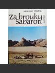 Za brouky saharou (sahara, brouci) - náhled