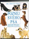 Poznej svého psa - náhled