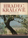 Hradec  králové - náhled