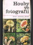 Houby  ve  fotografii - náhled