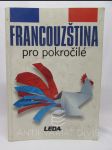 Francouzština pro pokročilé - náhled