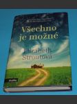 Všechno je možné - Strout - náhled