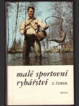 Malé sportovní rybářství - náhled