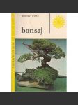 Bonsaj - náhled