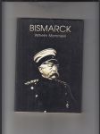 Bismarck - náhled