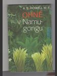 Ohně v Namugongu /příběh afrických misionářů a mučedníků - náhled