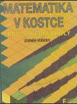 Matematika v kostce pro střední školy - náhled